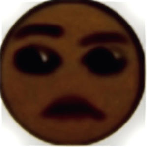 Meet your Posher, Onika stan